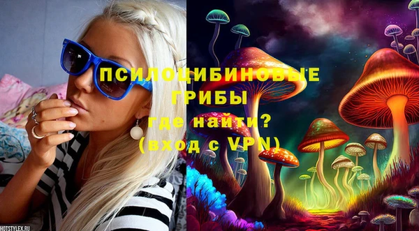 mdpv Новодвинск