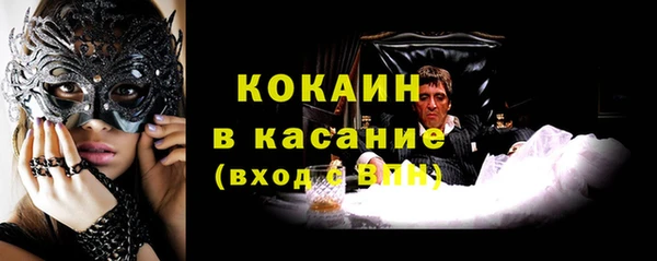 прущие грибы Нязепетровск