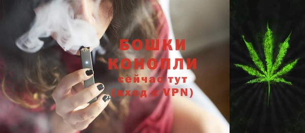 крисы Новокубанск