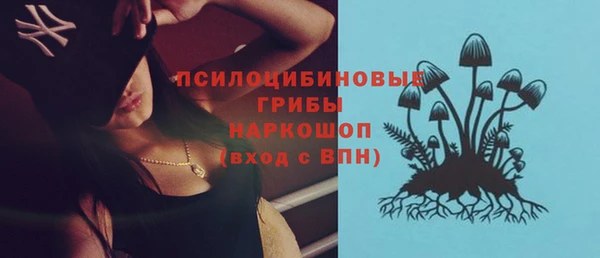 прущие грибы Нязепетровск