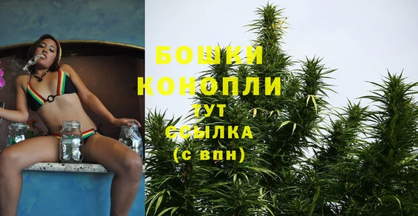 mdpv Новодвинск