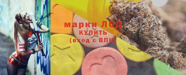 молекула духа Няндома