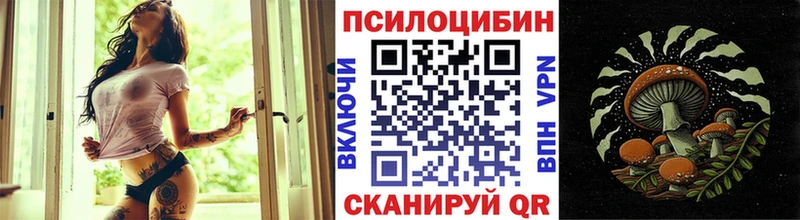 Псилоцибиновые грибы GOLDEN TEACHER  Клинцы 