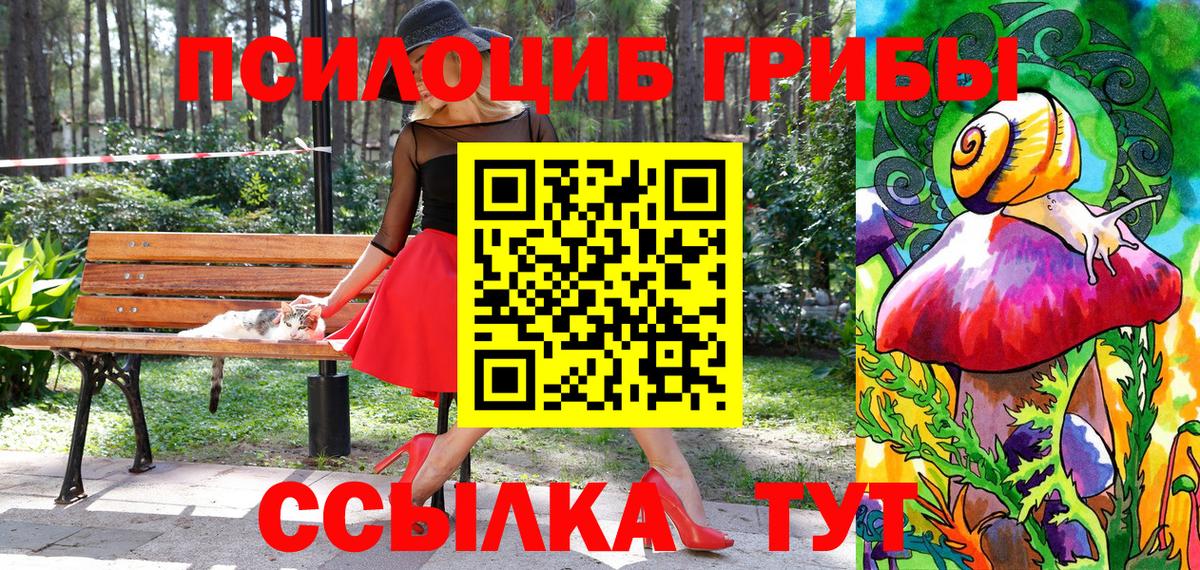 Галлюциногенные грибы прущие грибы  Галлюциногенные грибы Magic Shrooms  Клинцы  Вход с VPN 
