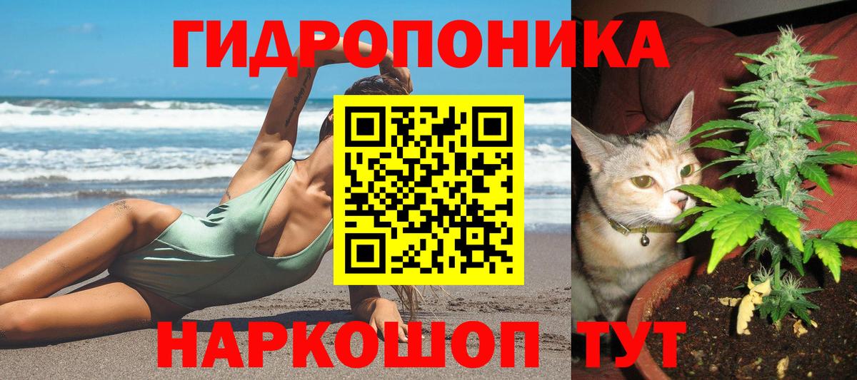 Клинцы  Шишки марихуана гибрид  Вход с VPN  МАРИХУАНА LSD WEED  Бошки марихуана планчик 